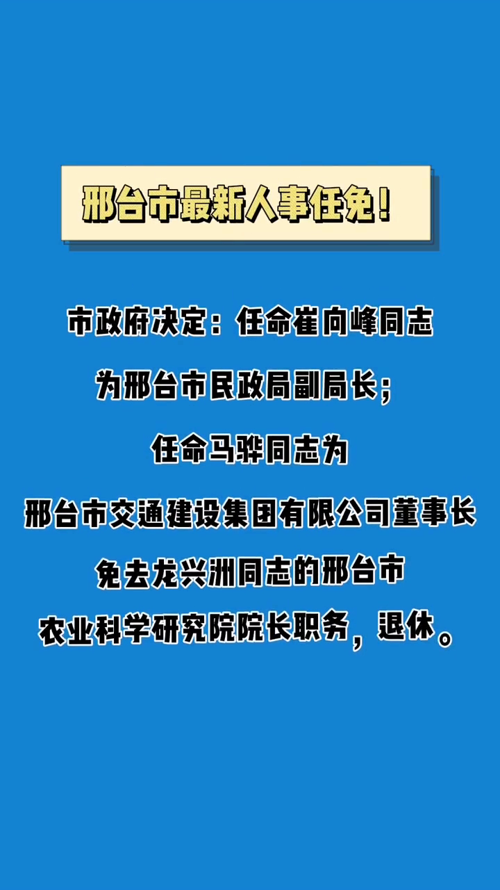 邢台最新人事任免及其动态分析概览
