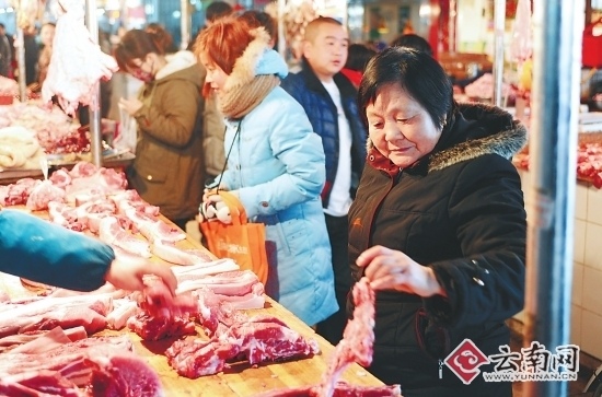 云南猪肉最新价格概览