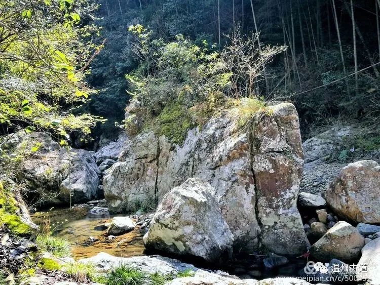 翁新版，自然美景探险之旅