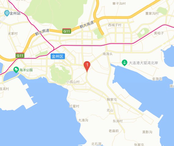 金普新区最新动态，小巷深处的独特风味