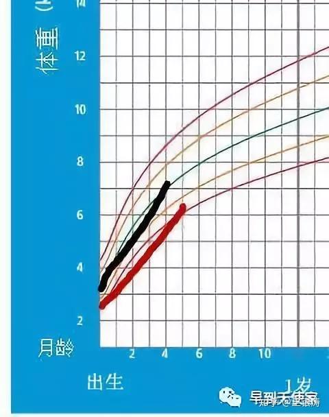 最新儿童生长曲线图，自然美景的探险之旅唤醒内心平静