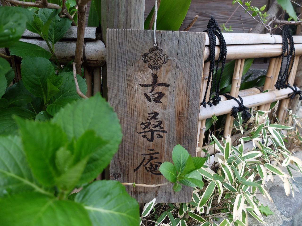 探索小巷深处的秘密，2016年最新版特色小店之旅的独家头像