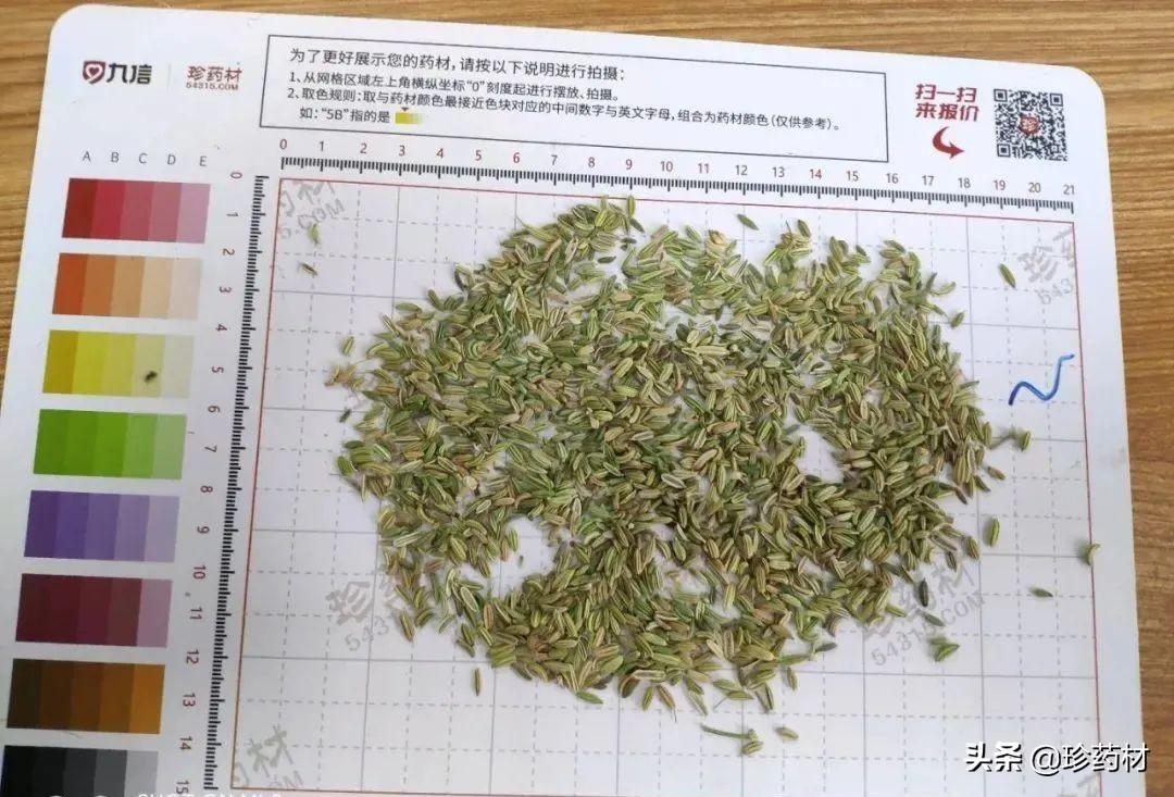红花最新行情，繁荣背后的故事与地位揭秘